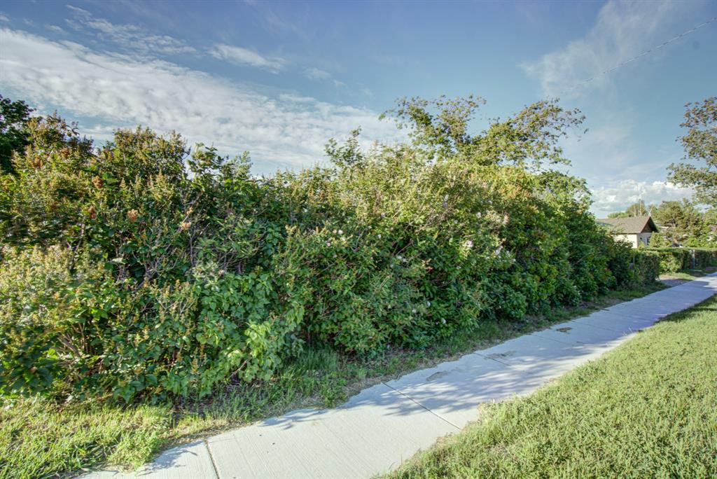 317 Dufferin Street Property Photo 8