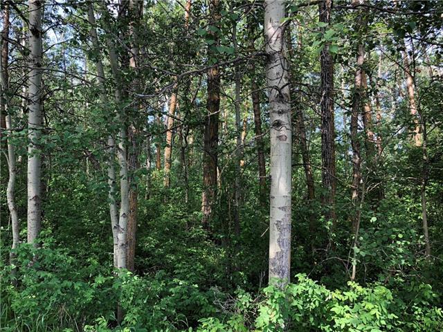 Lot 15 Campsite Road Property Photo