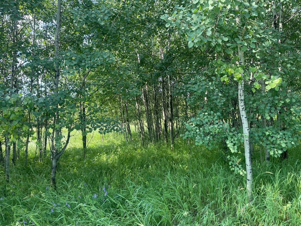 1003 20 Avenue Property Photo