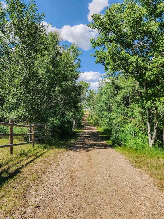 15 Horse Shoe Property Photo 18
