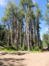 Lot #7 Wapiti River Sw-21-69-10-w6 Property Photo
