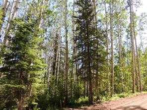 Lot #10 Wapiti River Sw-21-69-10-w6 Property Photo
