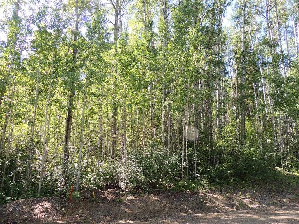 Lot #11 Wapiti River Sw-21-69-10-w6 Property Photo