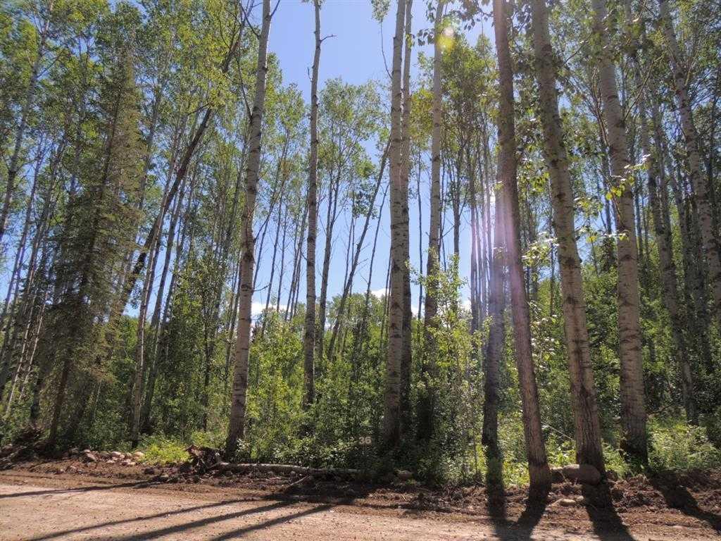 Lot #36 Wapiti River Sw-21-69-10-w6 Property Photo