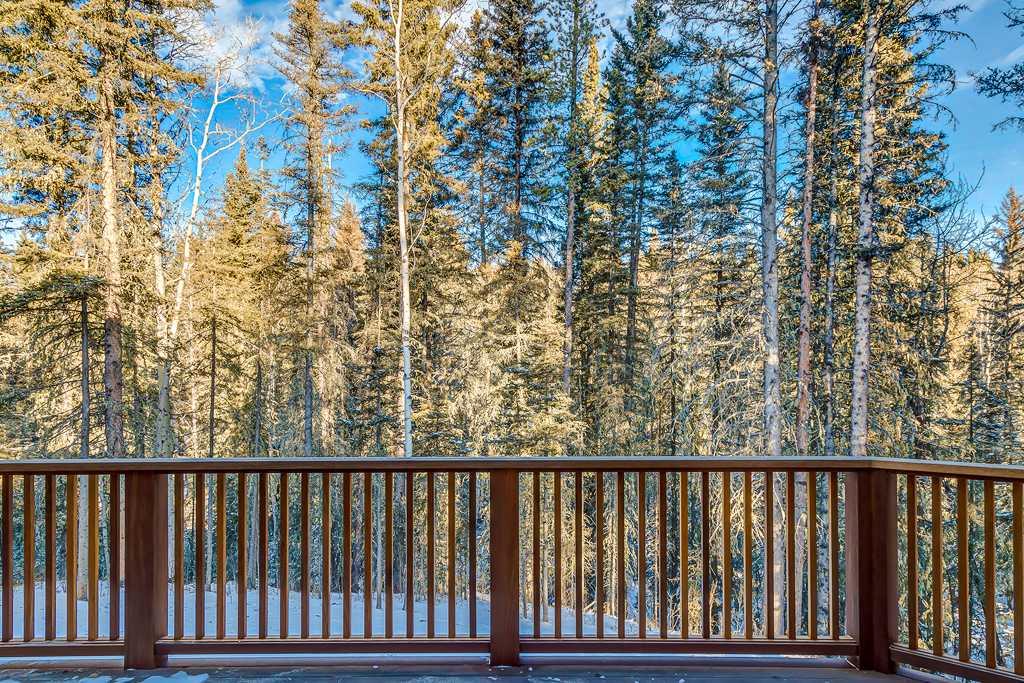 212 Hawks Landing Rise Property Photo 9