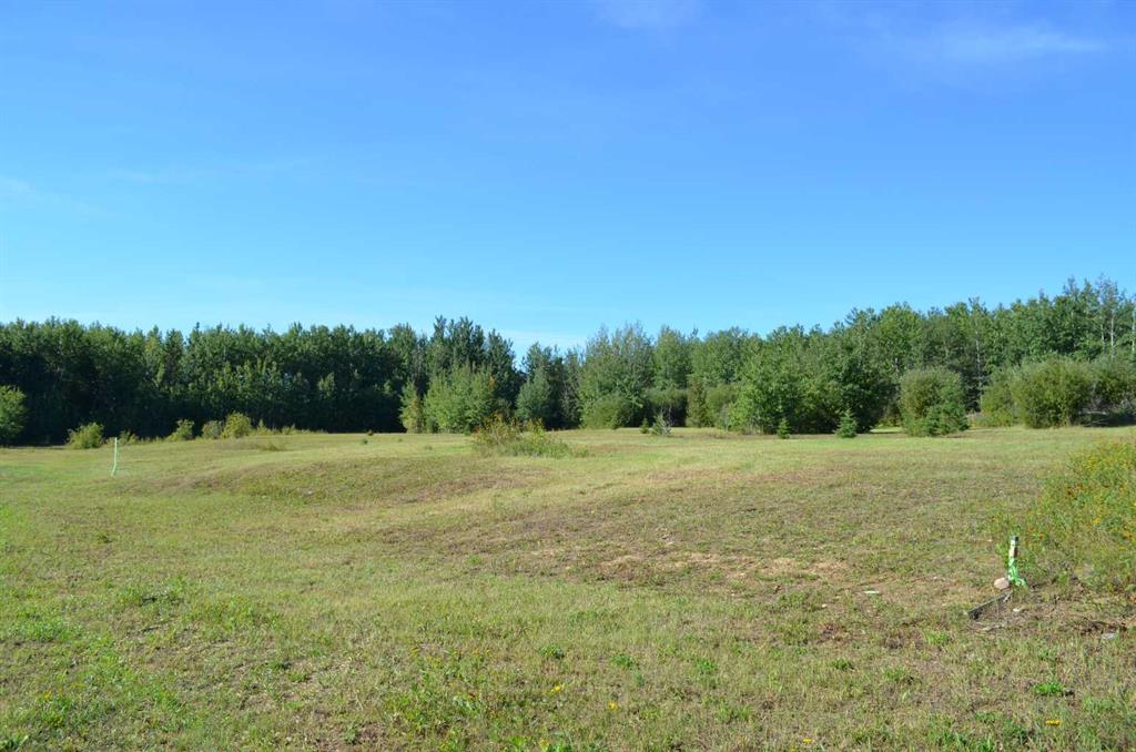 41- 655062 Range Road 224 Property Photo