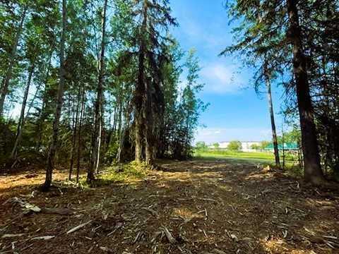 931 Wolf Trail Property Photo