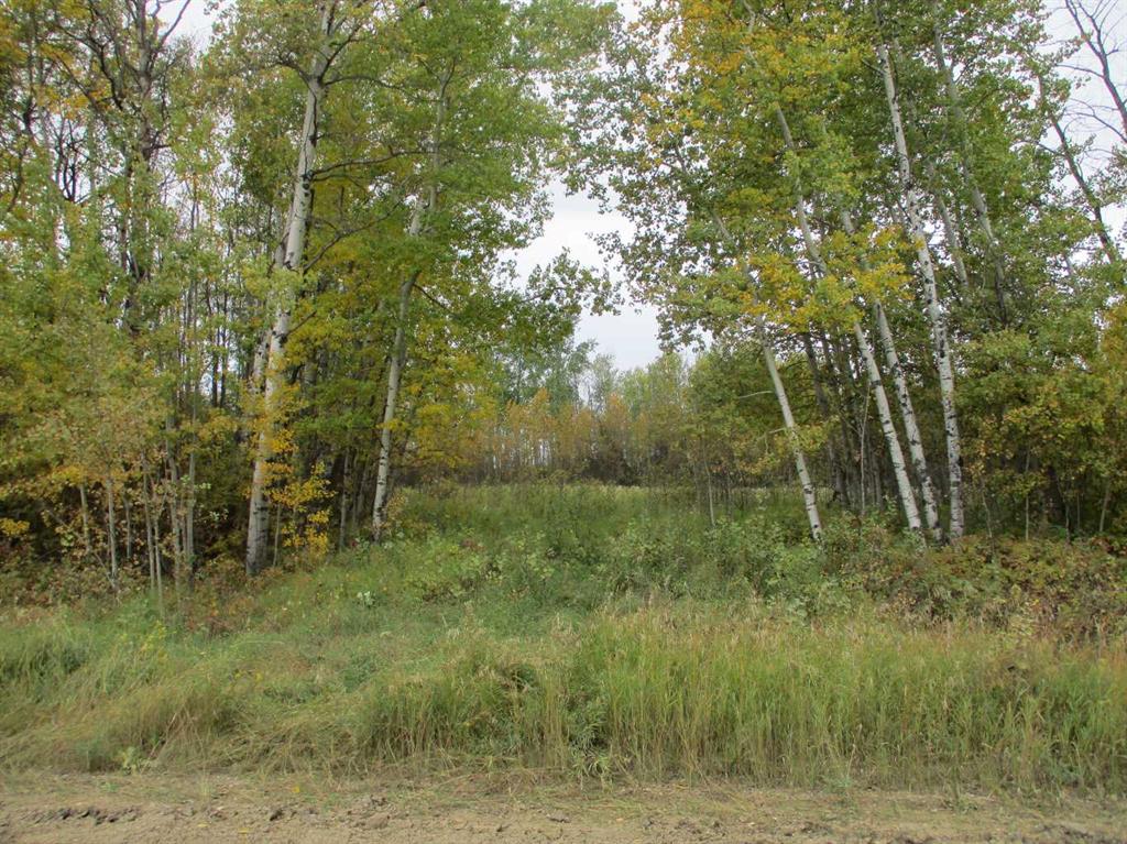 Rr 225 Twp Rd 910 Road Property Photo