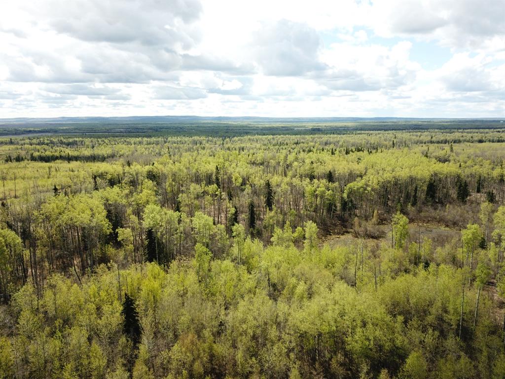 92 Range Property Photo 15