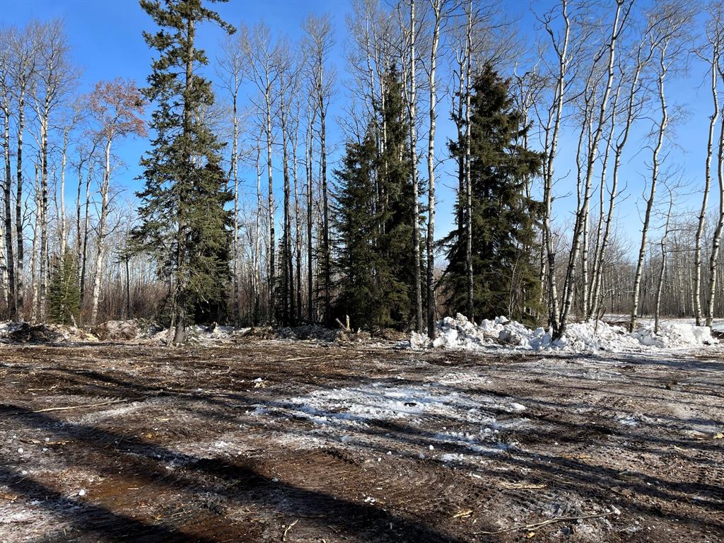 92 Range Property Photo 17