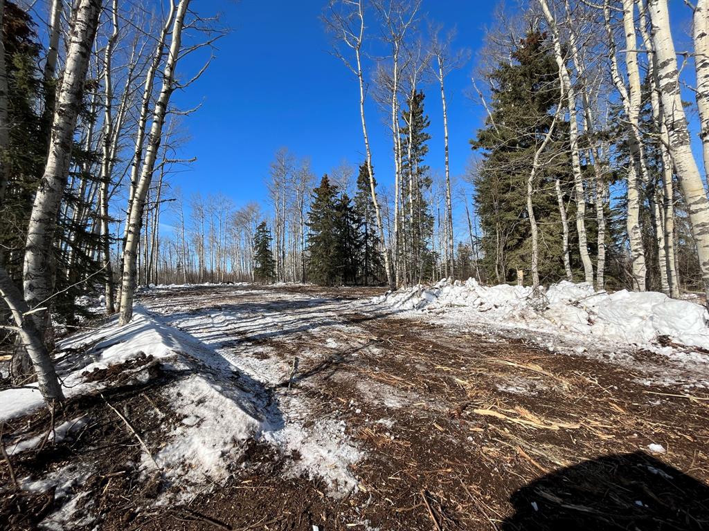92 Range Property Photo 19