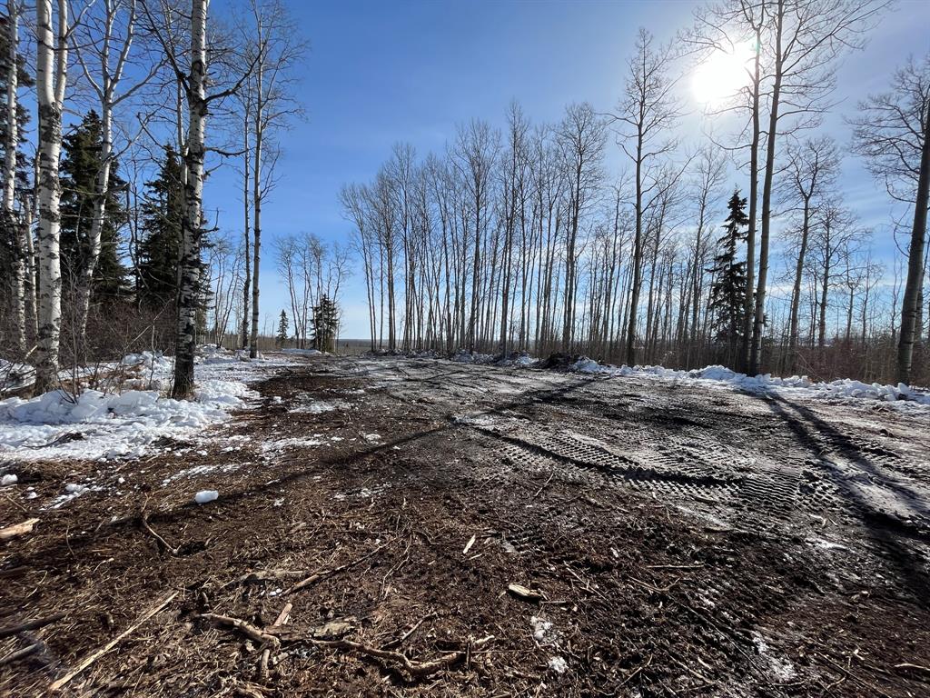92 Range Property Photo 21