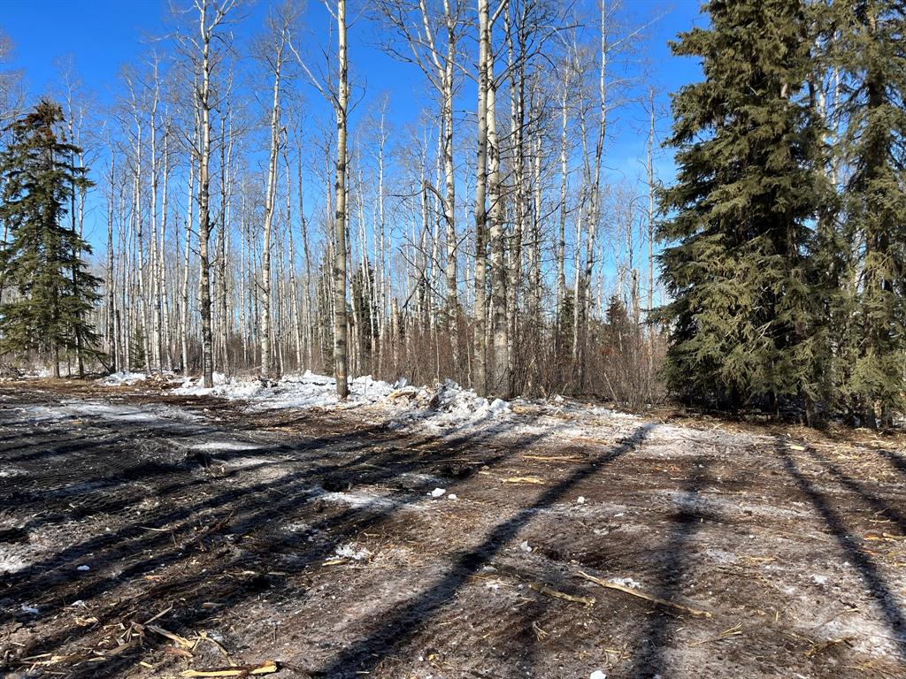 92 Range Property Photo 23