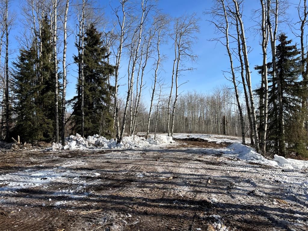 92 Range Property Photo 24
