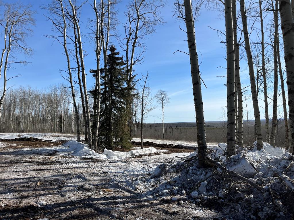 92 Range Property Photo 26