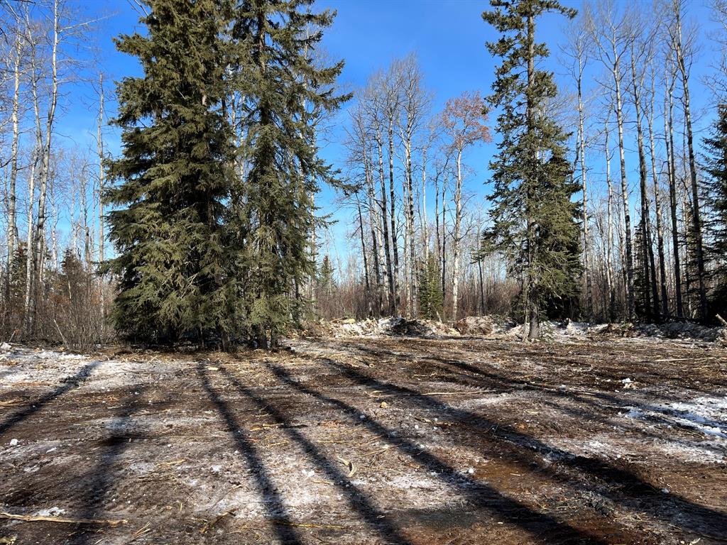 92 Range Property Photo 30