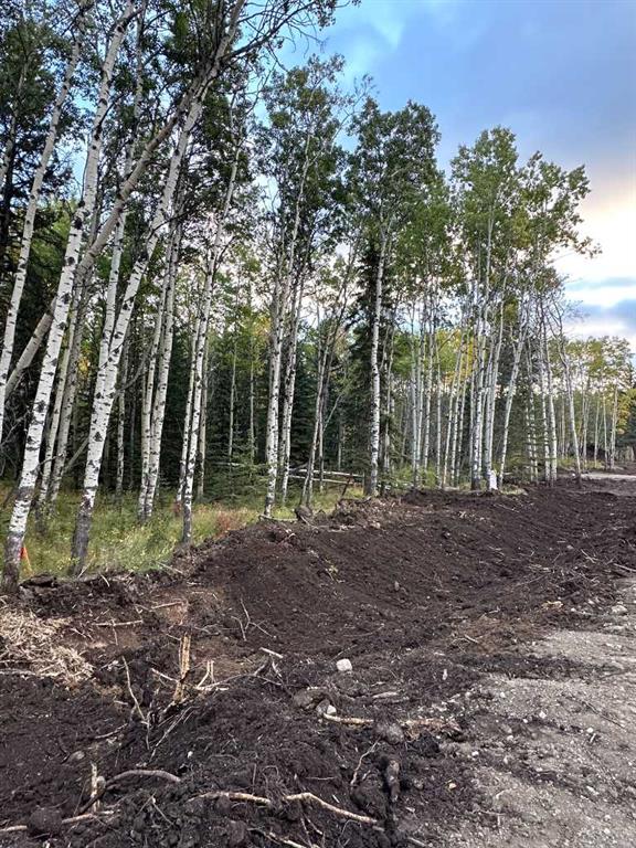 Lot 7 Elkstone Estates Property Photo 2