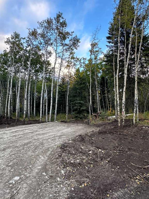 Lot 7 Elkstone Estates Property Photo 3