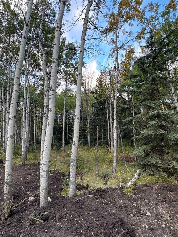 Lot 7 Elkstone Estates Property Photo 4