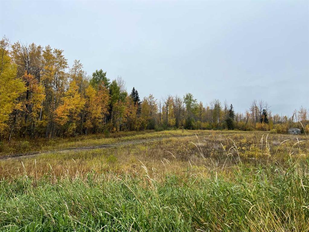 65322 Hwy 43 Property Photo 2