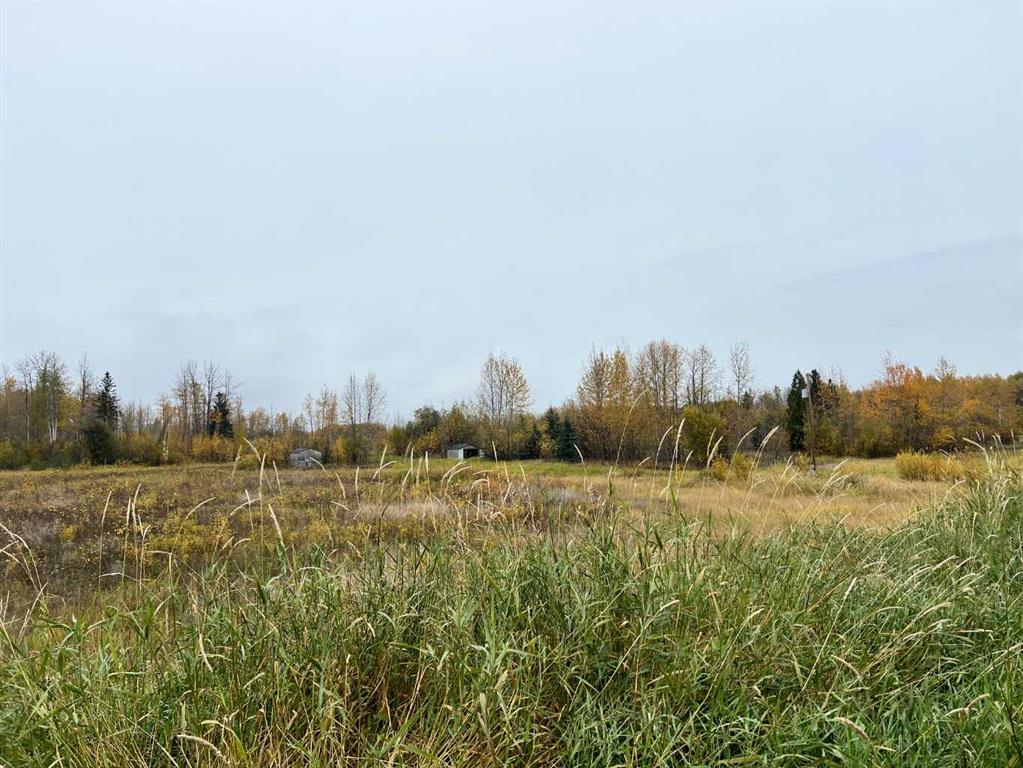 65322 Hwy 43 Property Photo 3