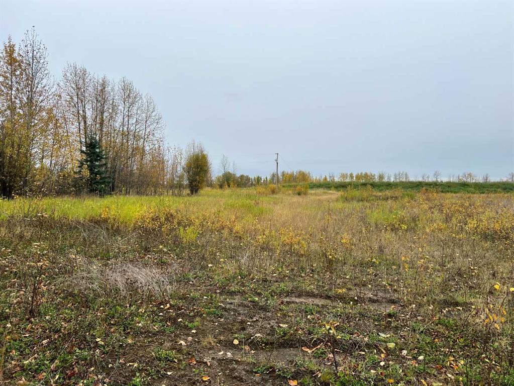 65322 Hwy 43 Property Photo 4