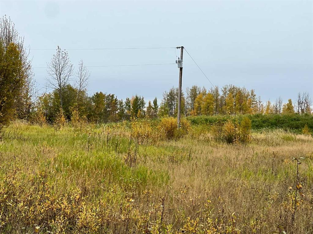 65322 Hwy 43 Property Photo 5
