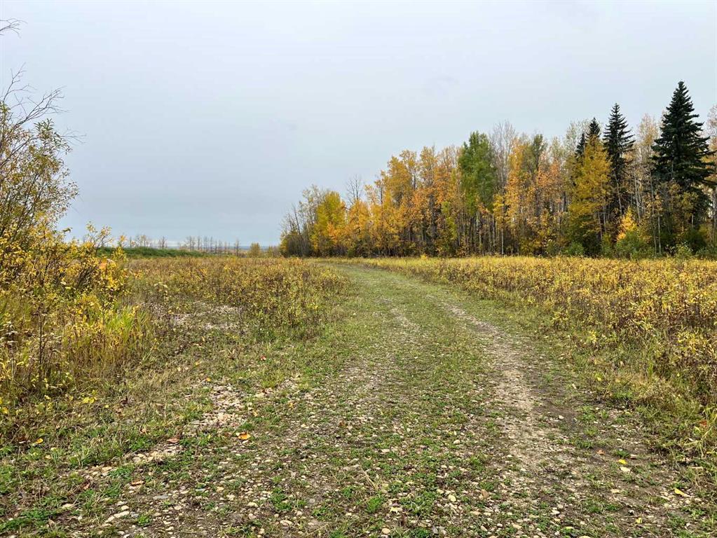 65322 Hwy 43 Property Photo 6