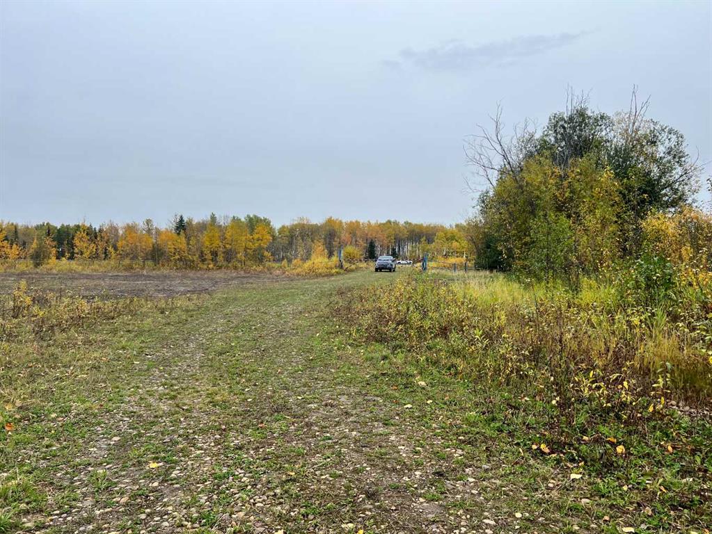 65322 Hwy 43 Property Photo 7