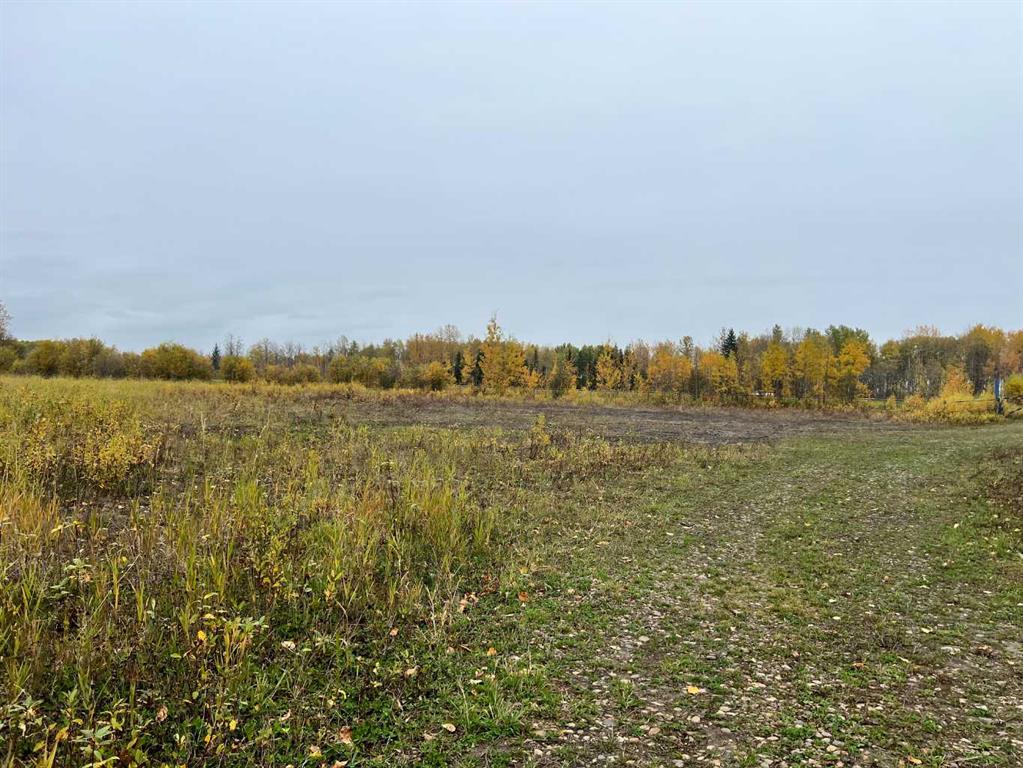 65322 Hwy 43 Property Photo 8