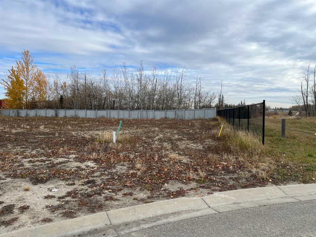 10202 67 Avenue Property Photo 1