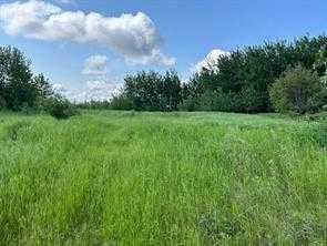113 67062 Mission Road Property Photo