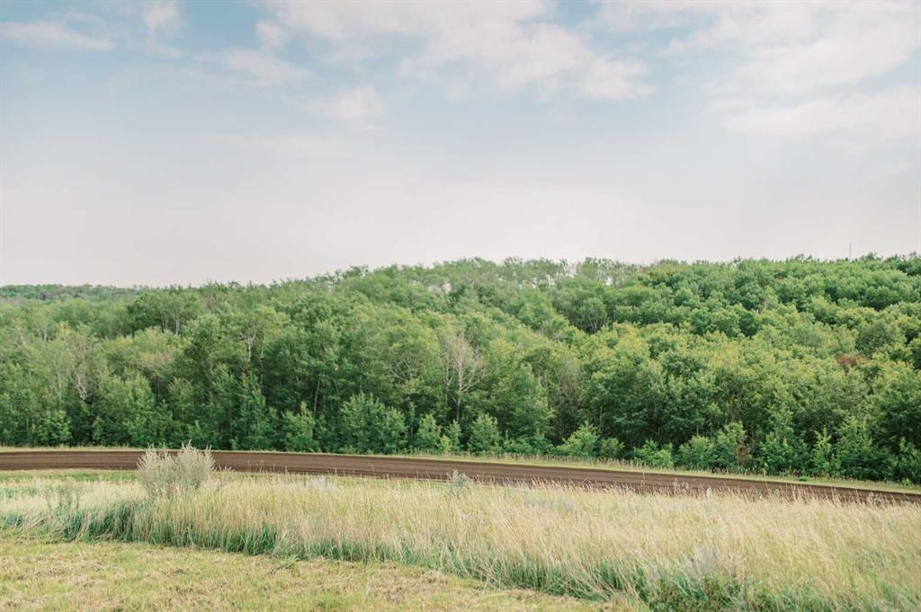 8 Whitetail Close Property Photo 14