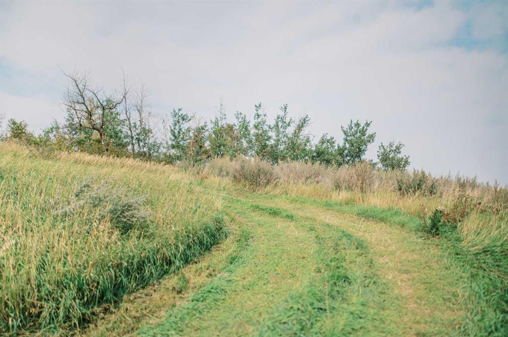 8 Whitetail Close Property Photo 15