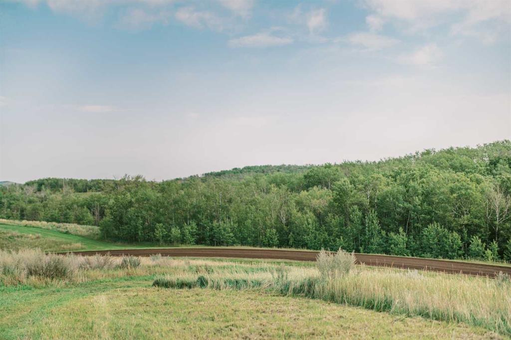 8 Whitetail Close Property Photo 18