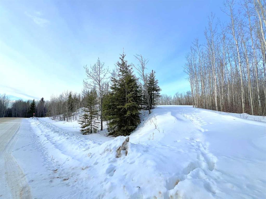 1 652051 Range Road 224 Property Photo 8