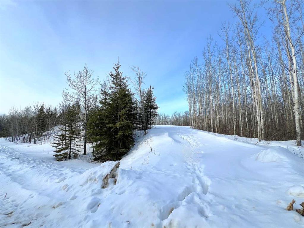 1 652051 Range Road 224 Property Photo 9