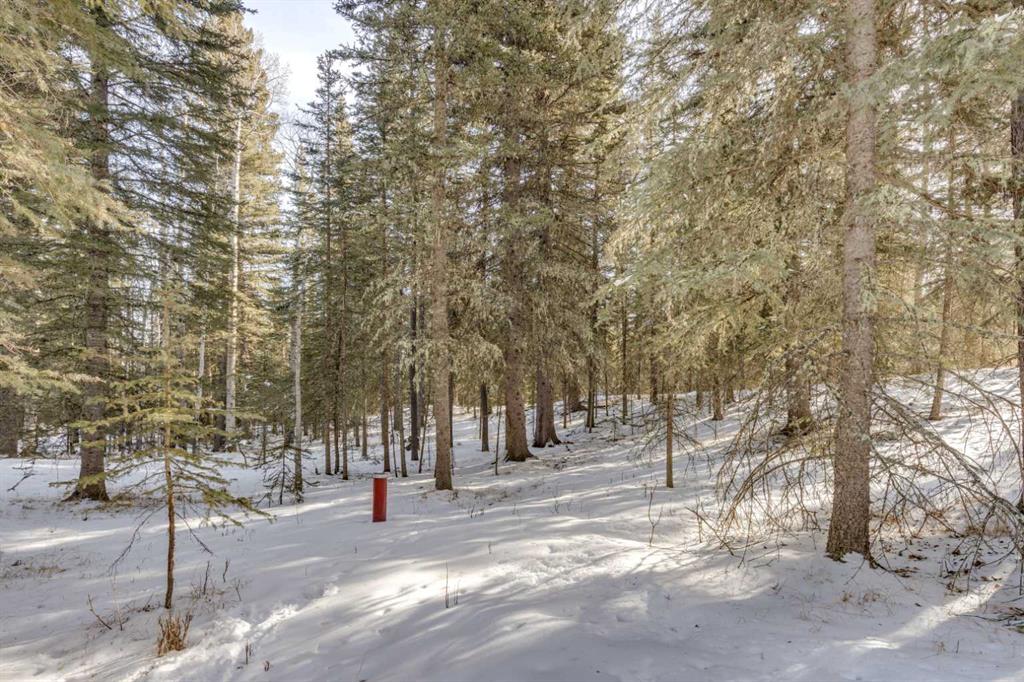 231057 Range Rd 54 Property Photo 18