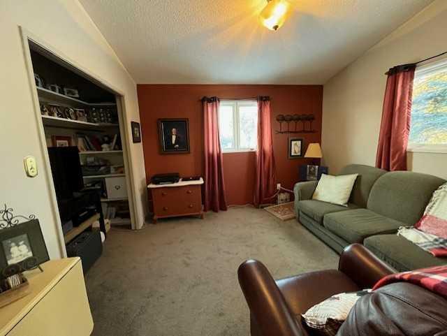 162 W 100 S Street Property Photo 19