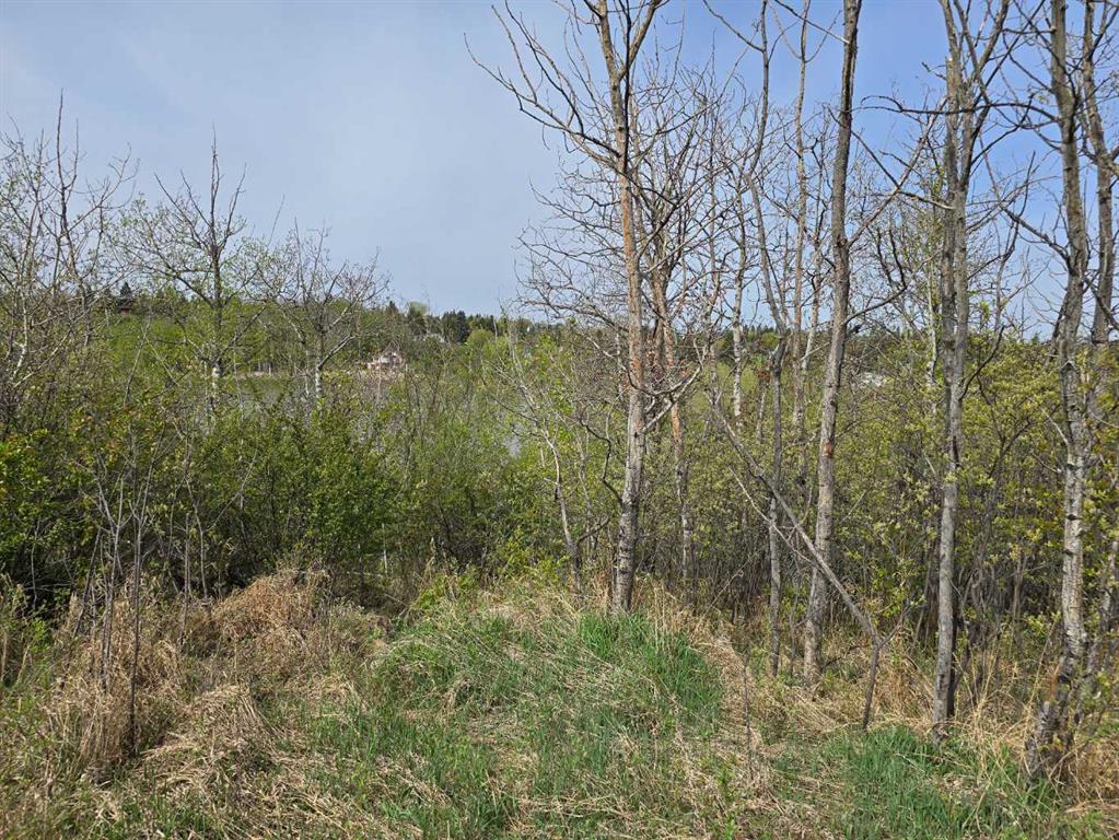 20 Cranna Lake Drive Property Photo 6