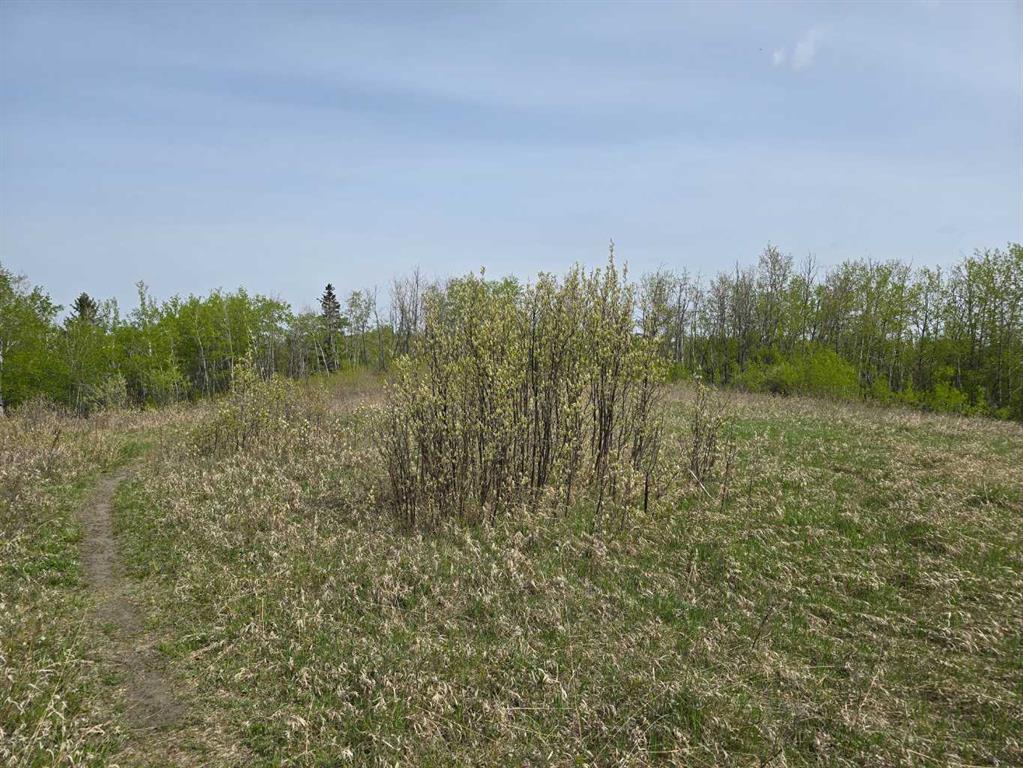 20 Cranna Lake Drive Property Photo 8