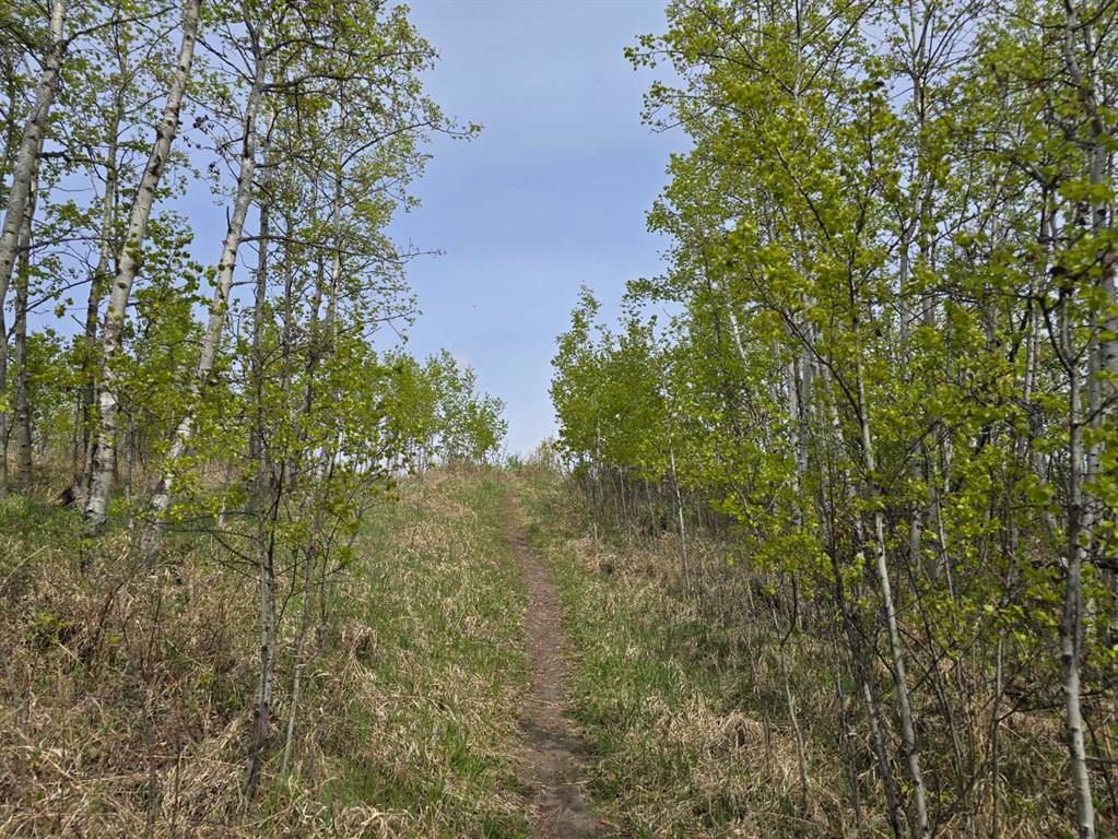 20 Cranna Lake Drive Property Photo 9