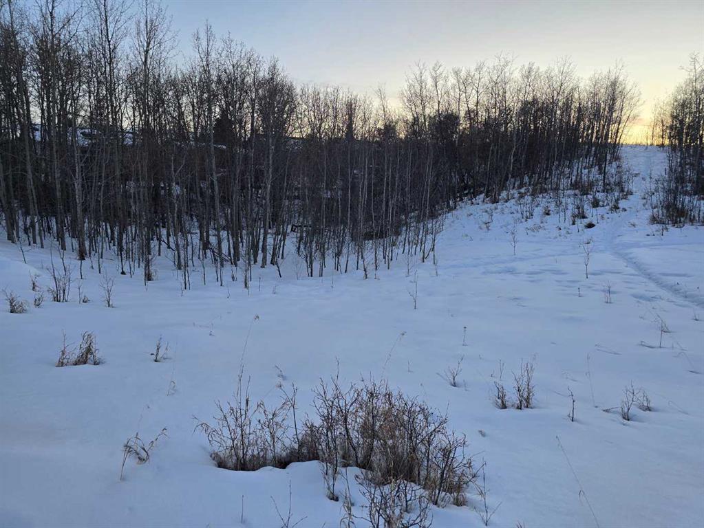 20 Cranna Lake Drive Property Photo 15