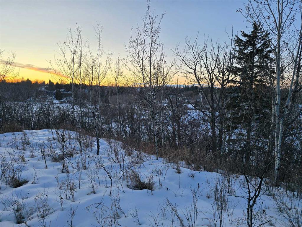 20 Cranna Lake Drive Property Photo 16
