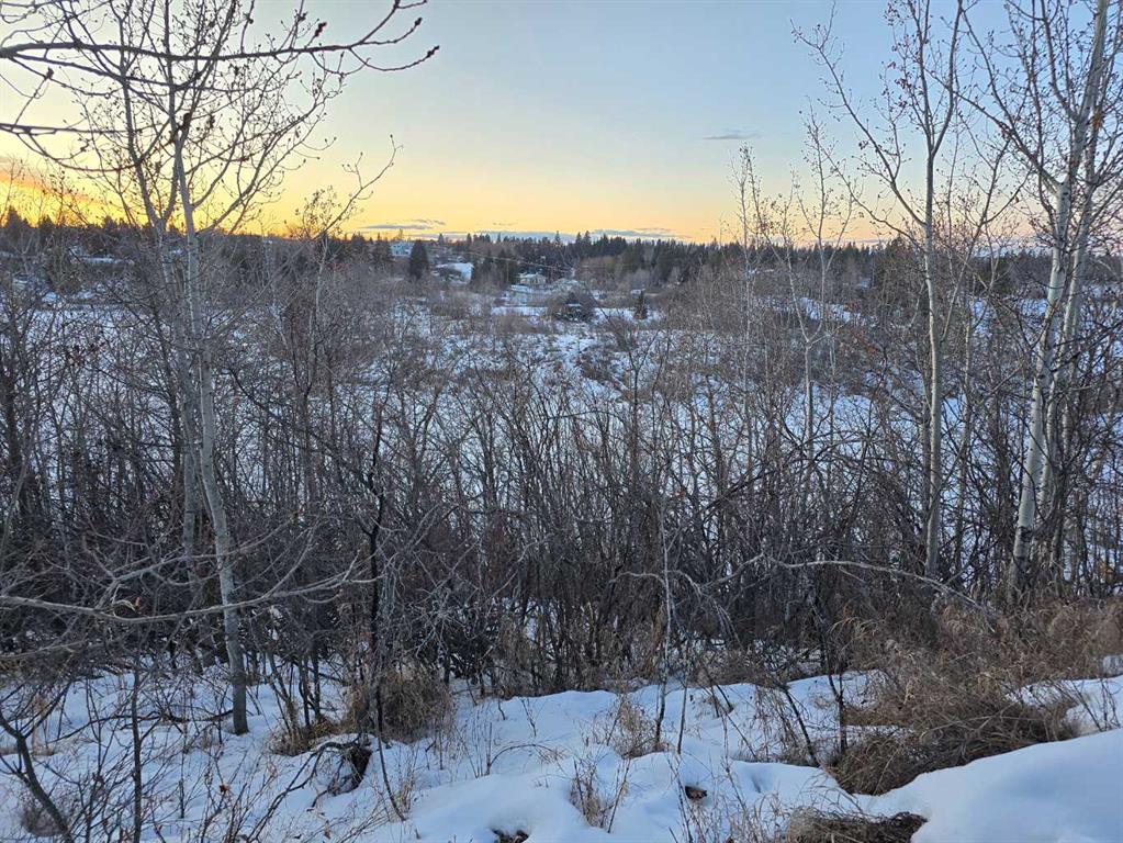 20 Cranna Lake Drive Property Photo 18