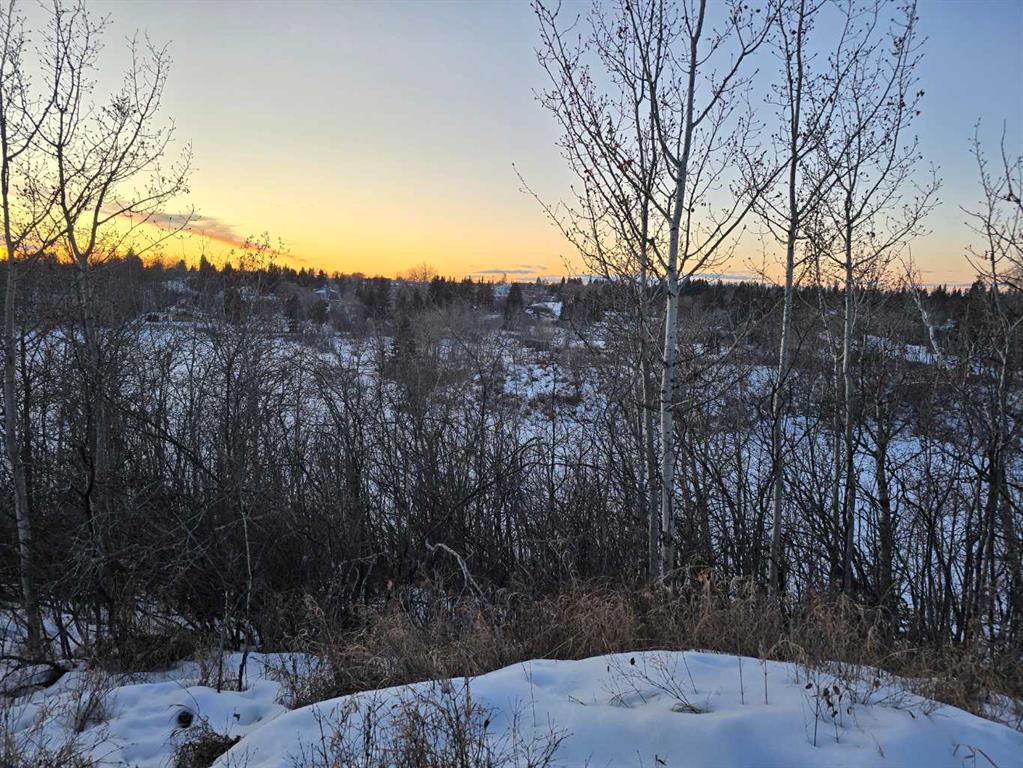 20 Cranna Lake Drive Property Photo 19
