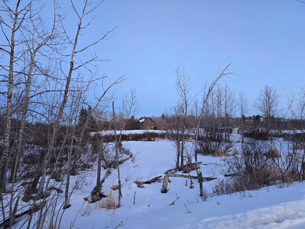 20 Cranna Lake Drive Property Photo 21