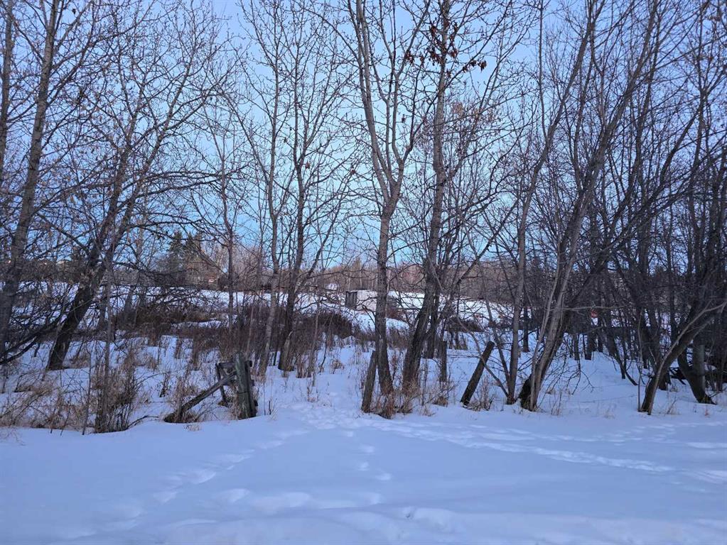 20 Cranna Lake Drive Property Photo 22