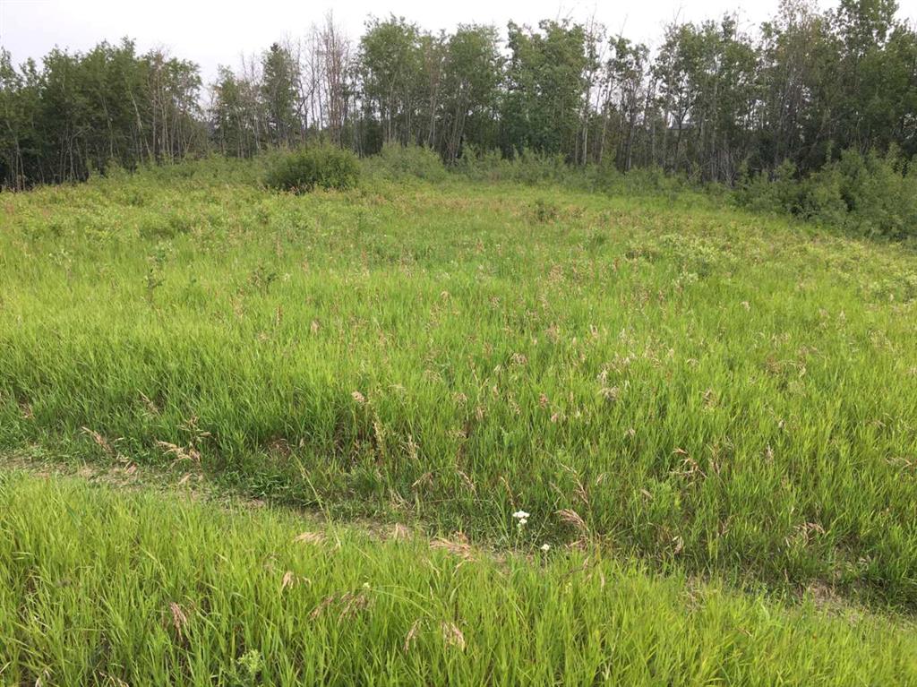 20 Cranna Lake Drive Property Photo 27