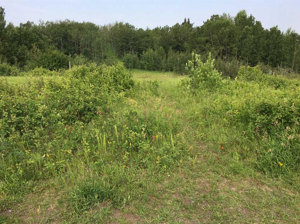 20 Cranna Lake Drive Property Photo 31